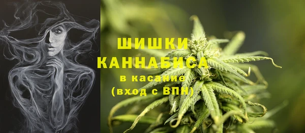 ешки Верхний Тагил