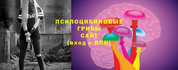 ешки Верхний Тагил