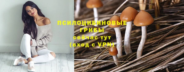 соль ск Верхнеуральск