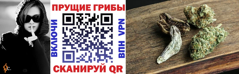 Псилоцибиновые грибы мицелий  купить наркотик  Волхов 